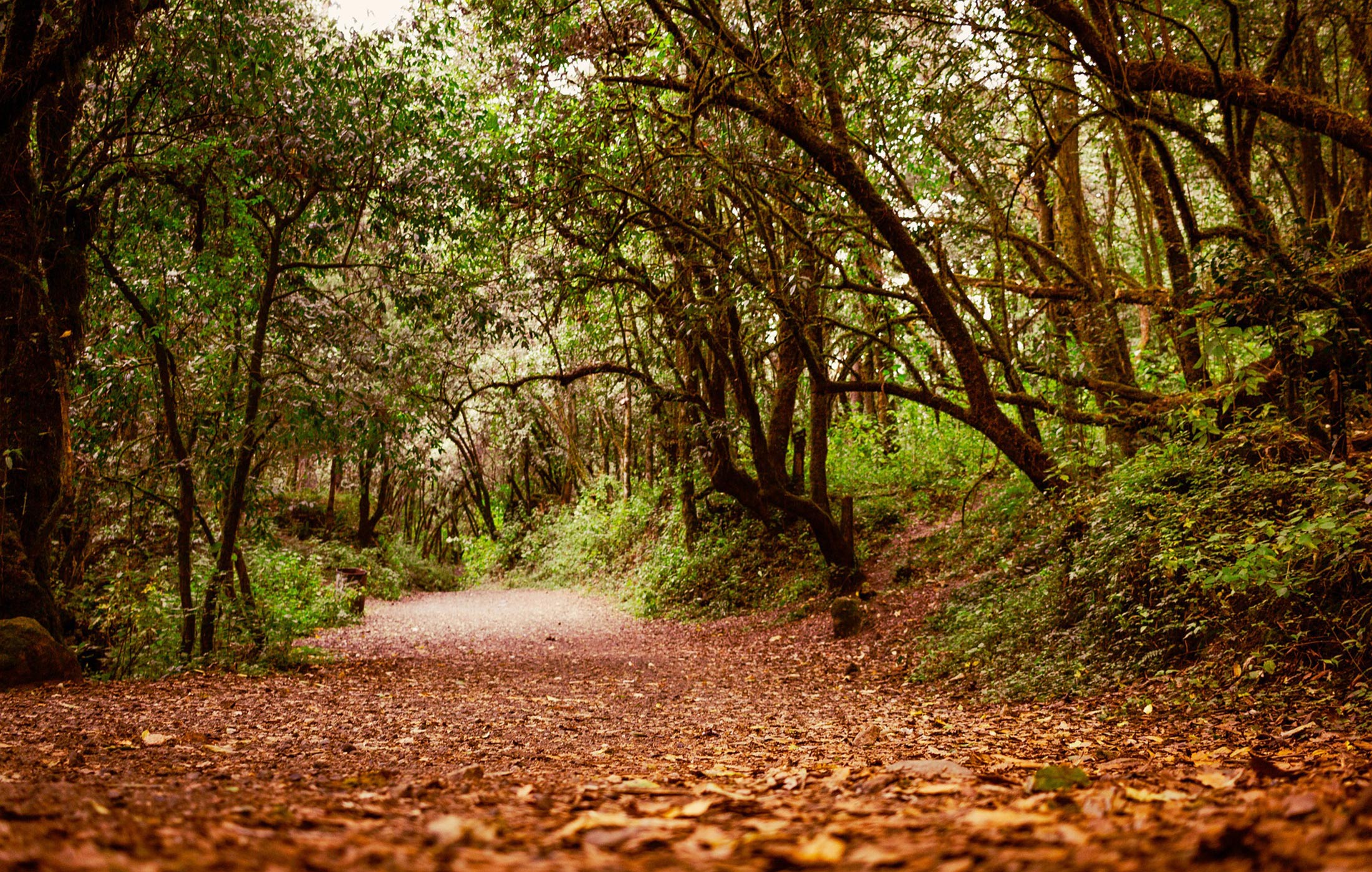 Ruta Castelo de Vitres