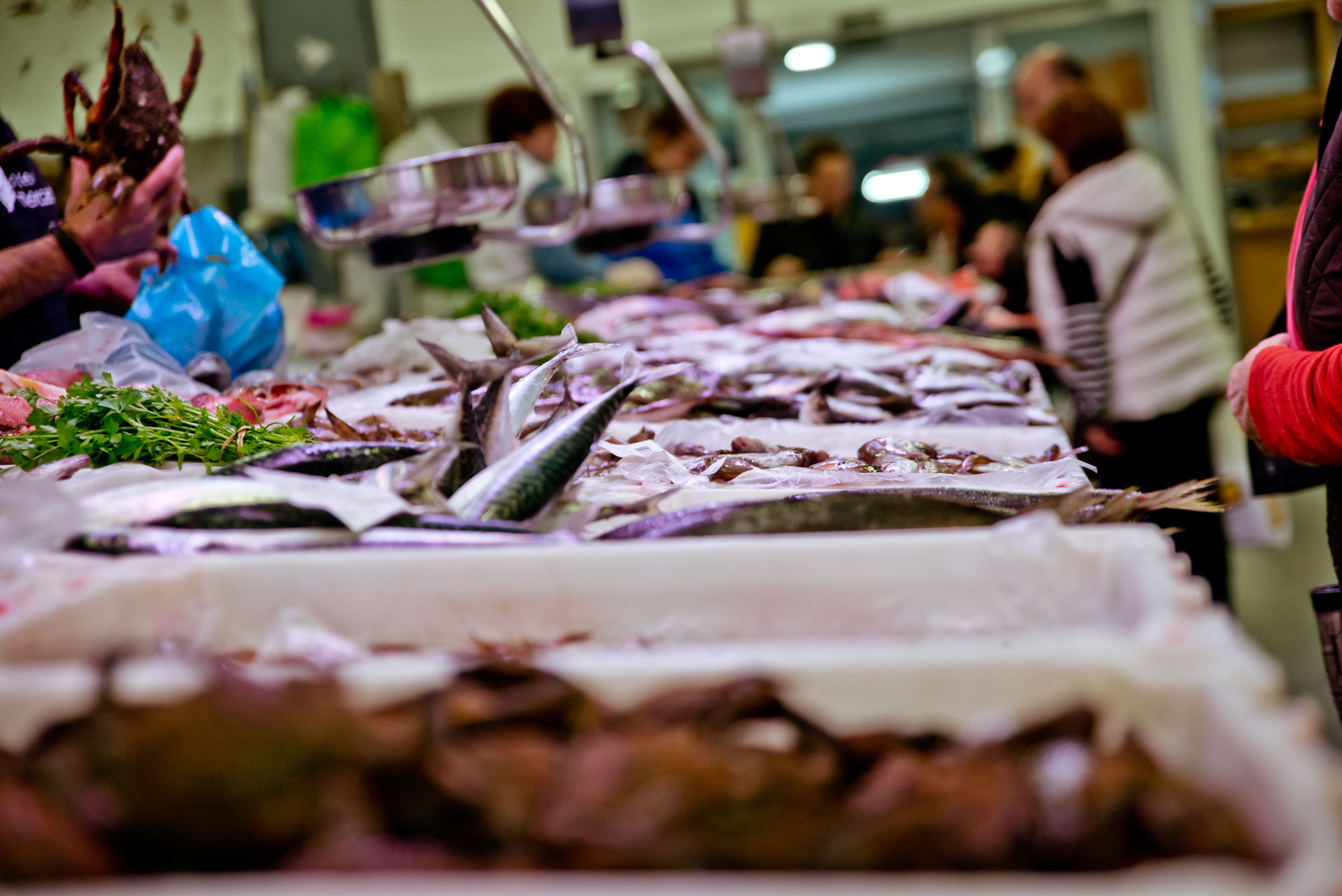 Mercado municipal de abastos