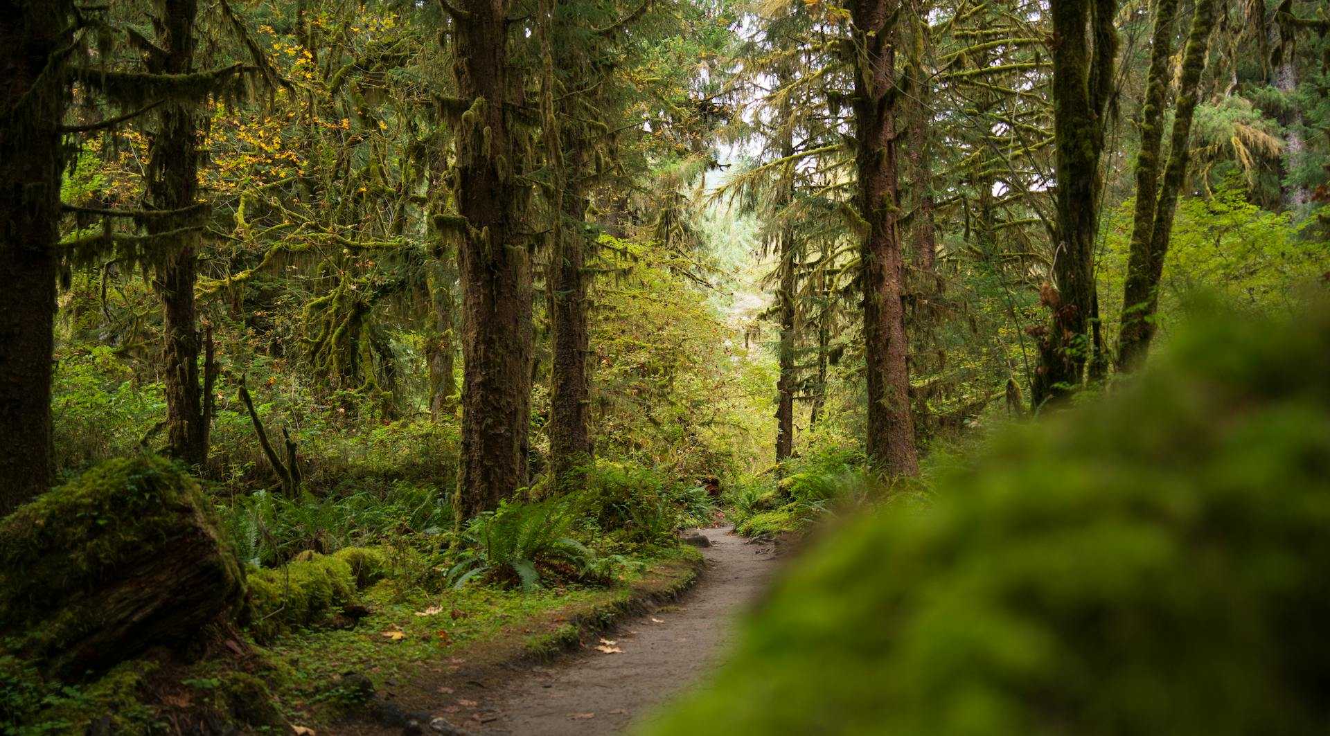 Boiro Turismo - Rutas de Senderismo