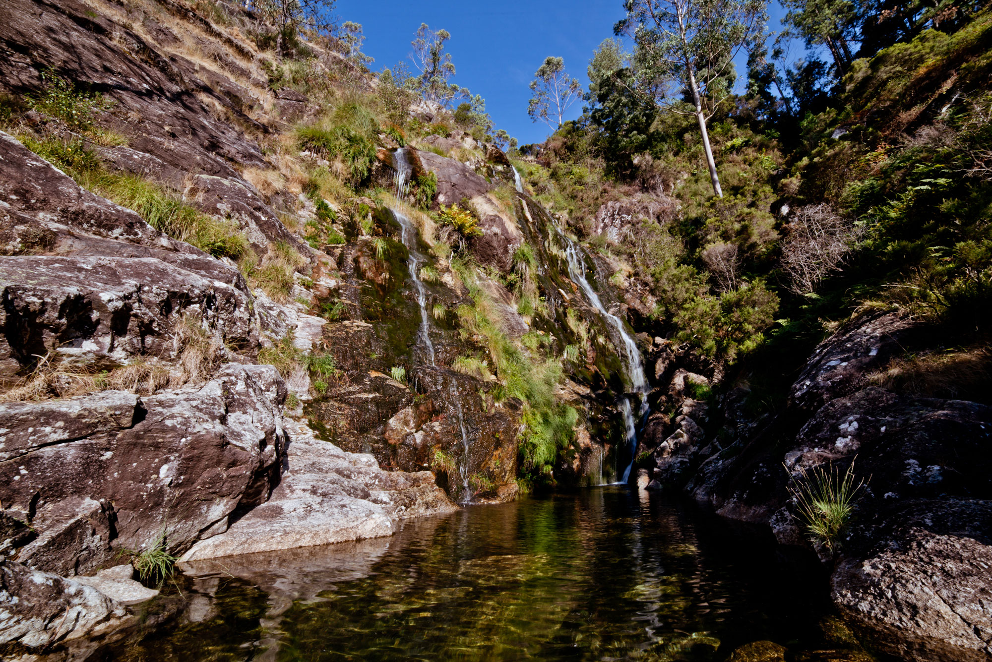Fervenza de Cadarnoxo